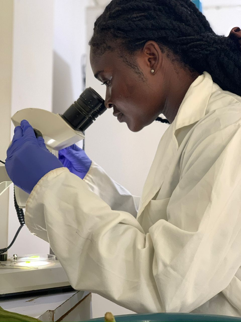 PPRSD laboratory activity