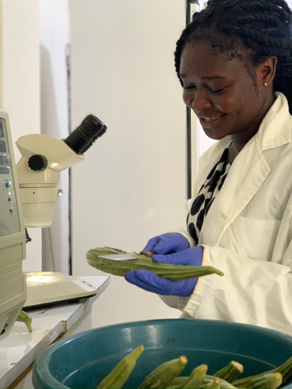 PPRSD field and lab work